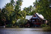 Bangkok Tour - Neighbourhood boat trip